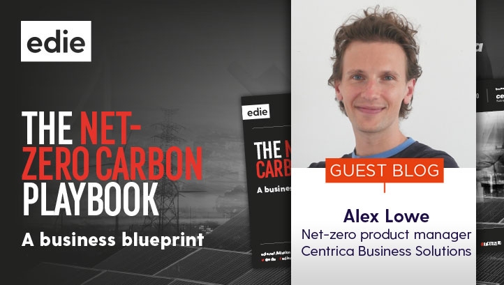 How to be a net-zero winner